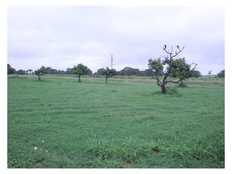 Coalstoun Lakes QLD 4621