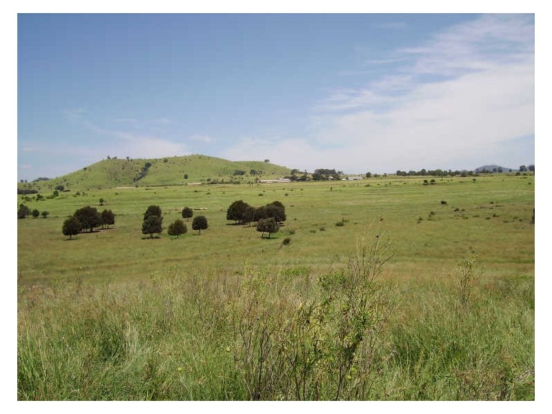 Coalstoun Lakes QLD 4621