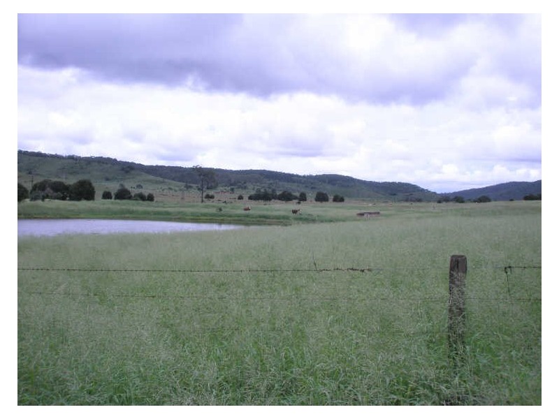 Coalstoun Lakes QLD 4621