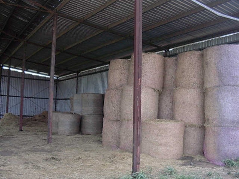 590 RIVERLEIGH STATION ROAD, Mundubbera QLD 4626