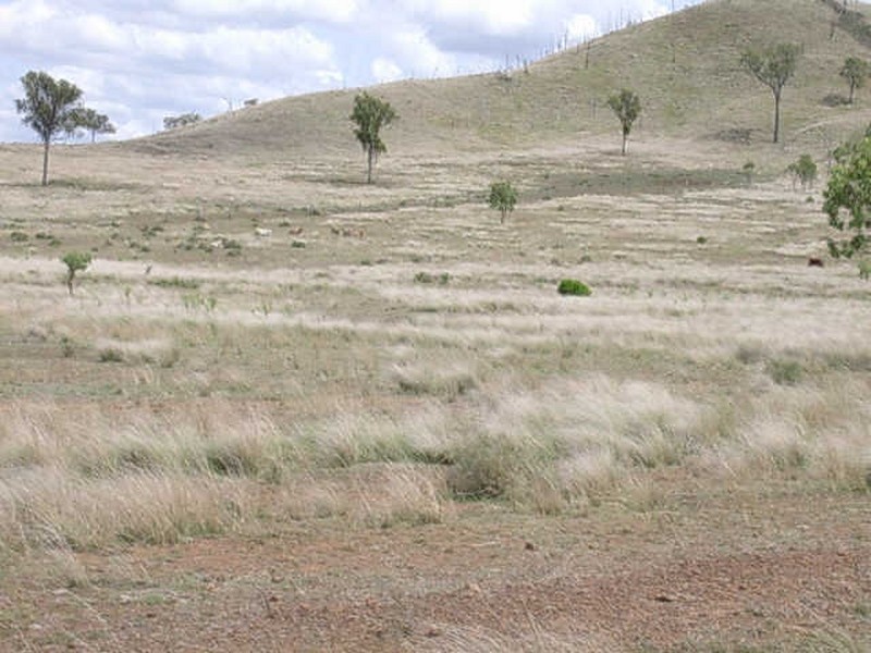 LOT 94-95 ABERDEENS ROAD, Binjour QLD 4625