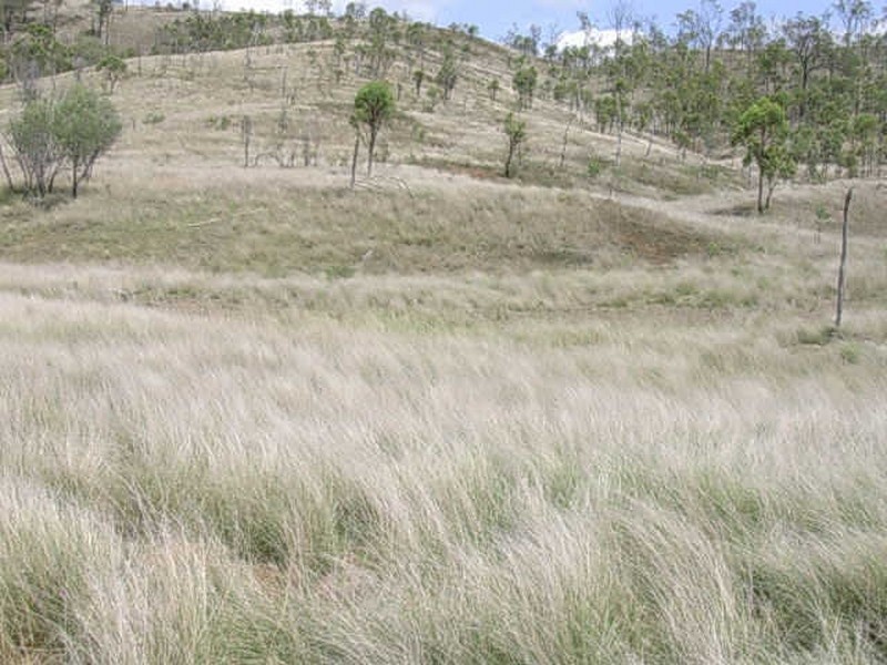 LOT 94-95 ABERDEENS ROAD, Binjour QLD 4625