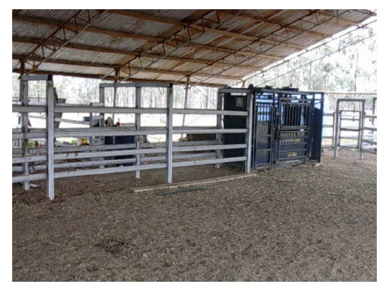 3071 BOONDOOMA ROAD, Binjour QLD 4625