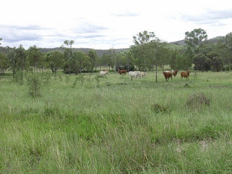 209 BARLYNE ROAD, Gayndah QLD 4625