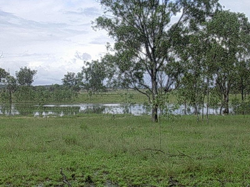 166 GRAYS ROAD, Binjour QLD 4625