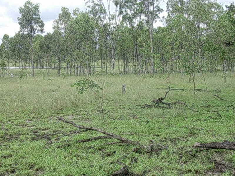 166 GRAYS ROAD, Binjour QLD 4625