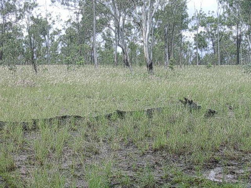 166 GRAYS ROAD, Binjour QLD 4625