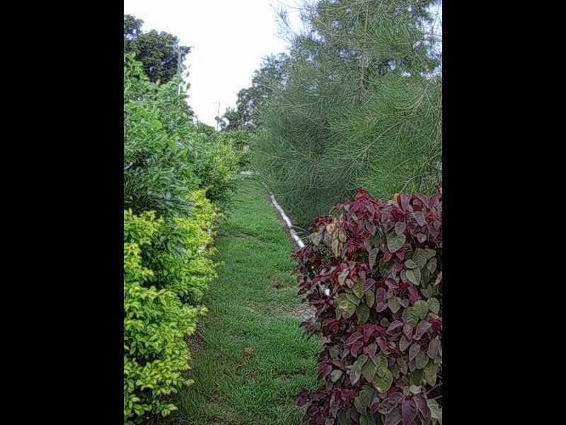 93 Meson Street, Gayndah QLD 4625