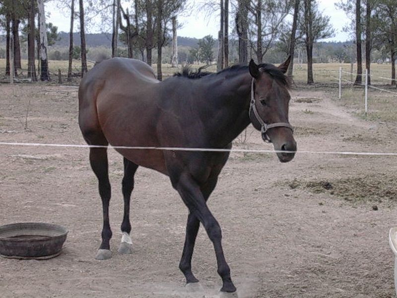 32 Kerwee Road, Eidsvold QLD 4627