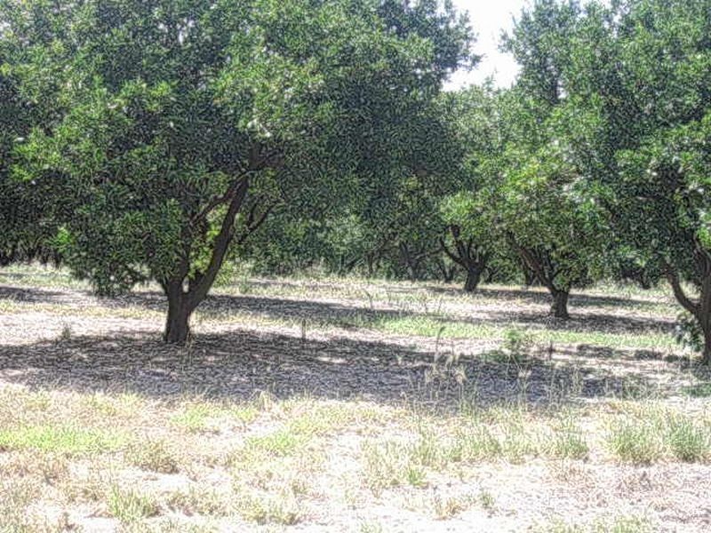 1 Coonambula Road, Mundubbera QLD 4626