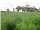 Lot 86 & 4 OBil Bil Road, Eidsvold QLD 4627