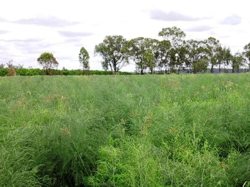 Lot 86 & 4 OBil Bil Road, Eidsvold QLD 4627