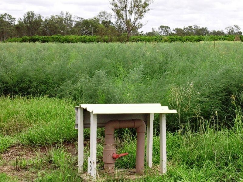Lot 86 & 4 OBil Bil Road, Eidsvold QLD 4627