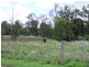 Lot 86 & 4 OBil Bil Road, Eidsvold QLD 4627