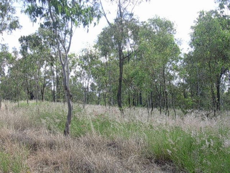 843 Mount Debatable Road, Gayndah QLD 4625