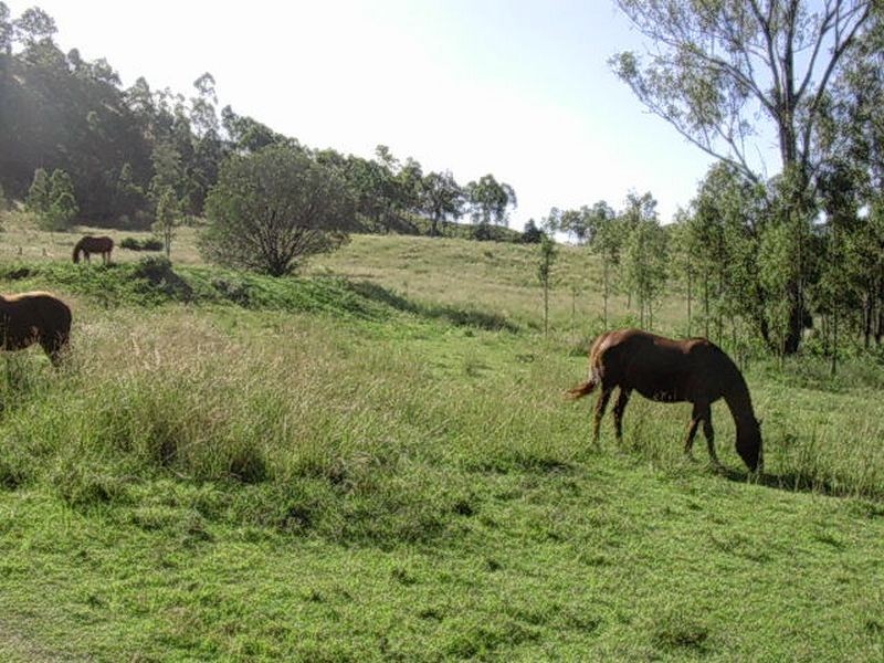 1 Tunnel Road, Mount Perry QLD 4671