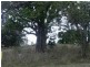 Lot 17 George Street, Mount Perry QLD 4671