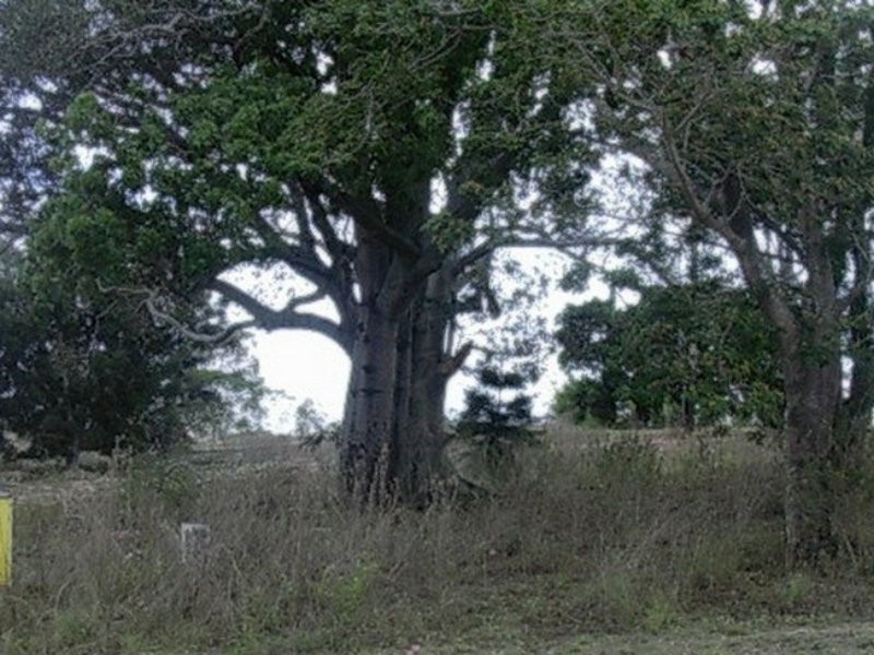 Lot 17 George Street, Mount Perry QLD 4671