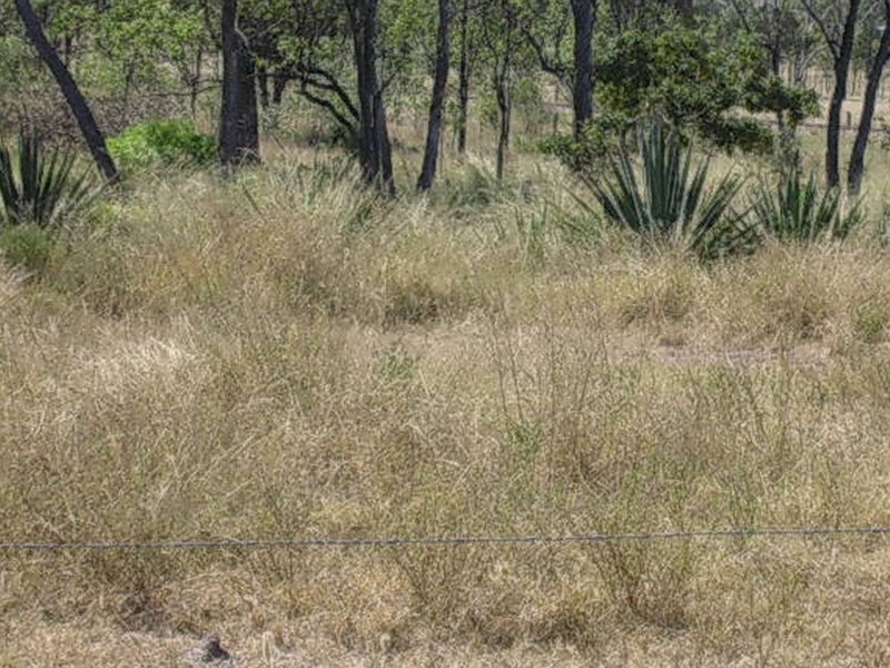 Lot 1 Rifle Range Road, Gayndah QLD 4625