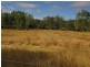 159 Barlyne Road, Gayndah QLD 4625