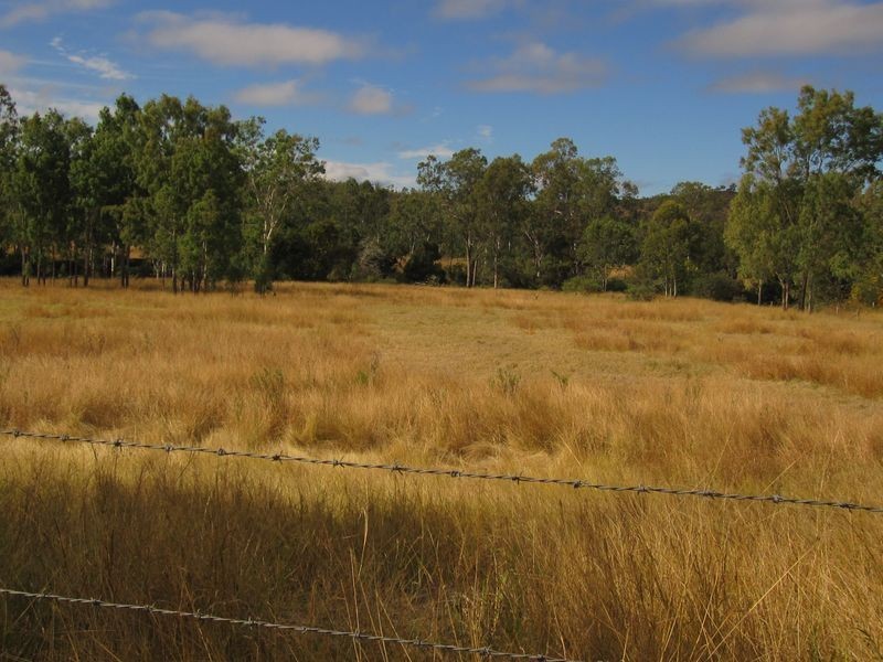 159 Barlyne Road, Gayndah QLD 4625