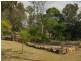 159 Barlyne Road, Gayndah QLD 4625