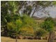 159 Barlyne Road, Gayndah QLD 4625