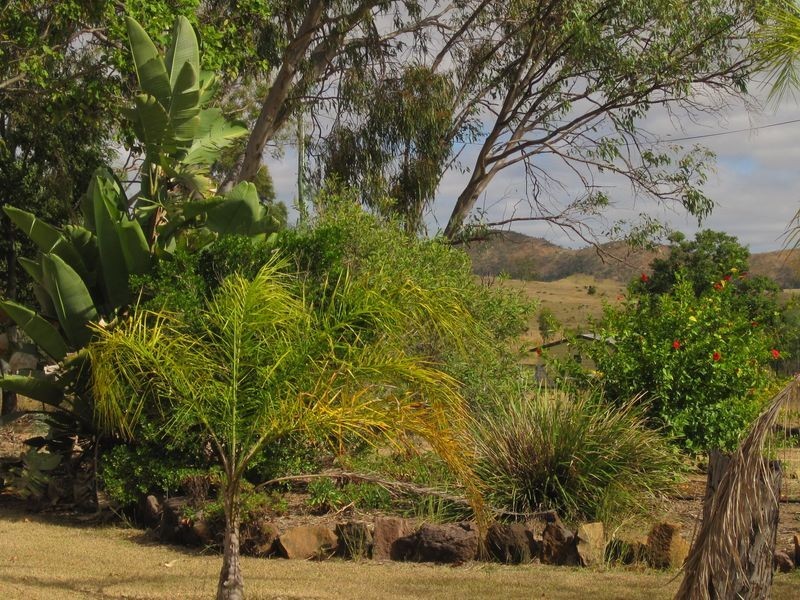 159 Barlyne Road, Gayndah QLD 4625