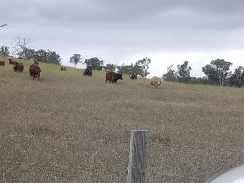 8276 Burnett Highway, Tansey QLD 4601