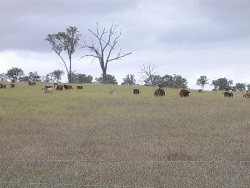 8276 Burnett Highway, Tansey QLD 4601