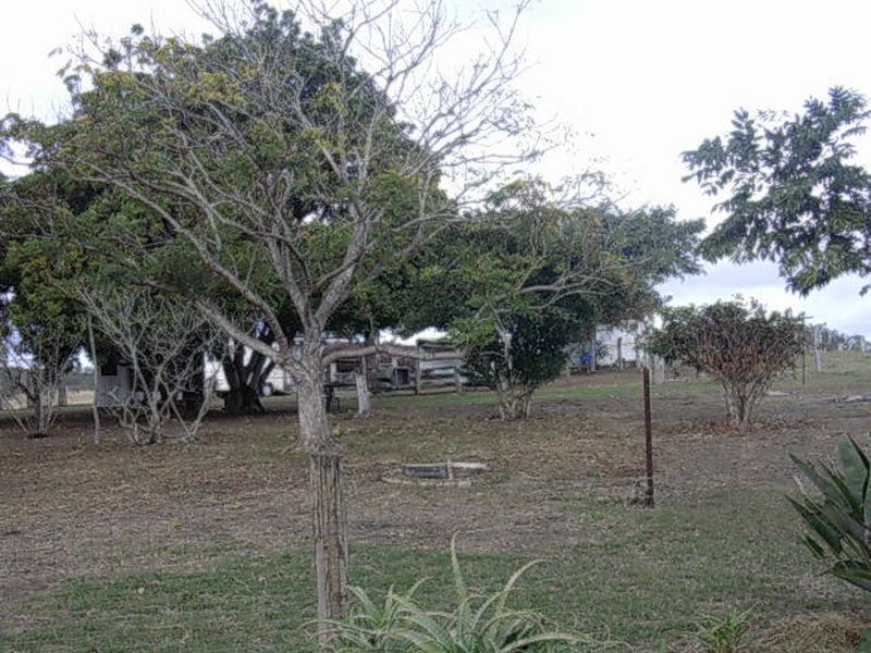 8276 Burnett Highway, Tansey QLD 4601