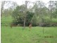 Lot 106 The Limits Road, Gayndah QLD 4625