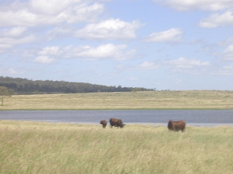 130 T JS Lane, Mundubbera QLD 4626