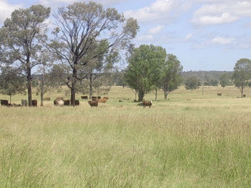 130 T JS Lane, Mundubbera QLD 4626