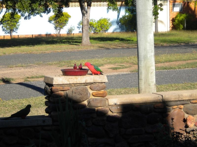 8 Cullen Avenue, Gayndah QLD 4625