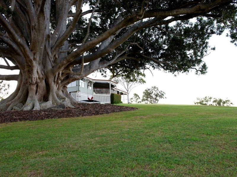 54 Loghole Lane, Mount Perry QLD 4671