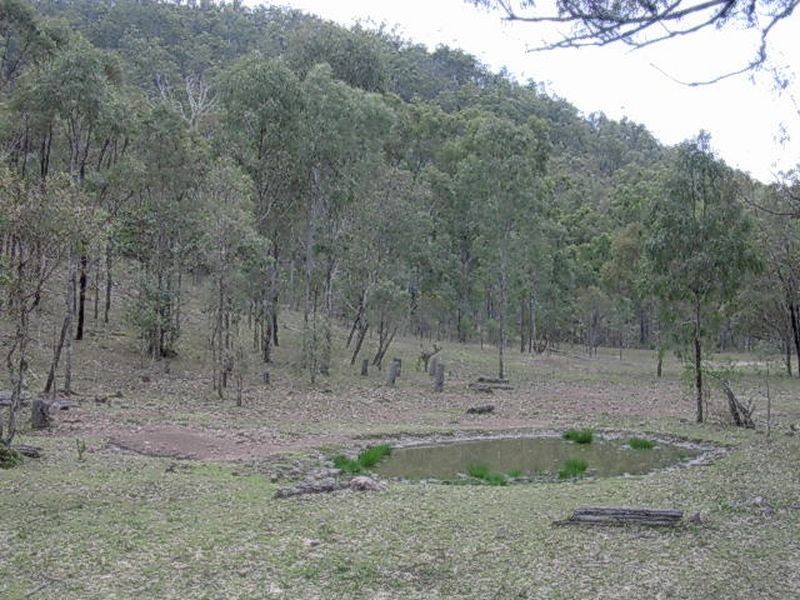 Lots 272 & Plum Creek Road, Biggenden QLD 4621