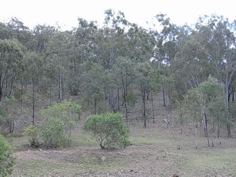 Lots 272 & Plum Creek Road, Biggenden QLD 4621