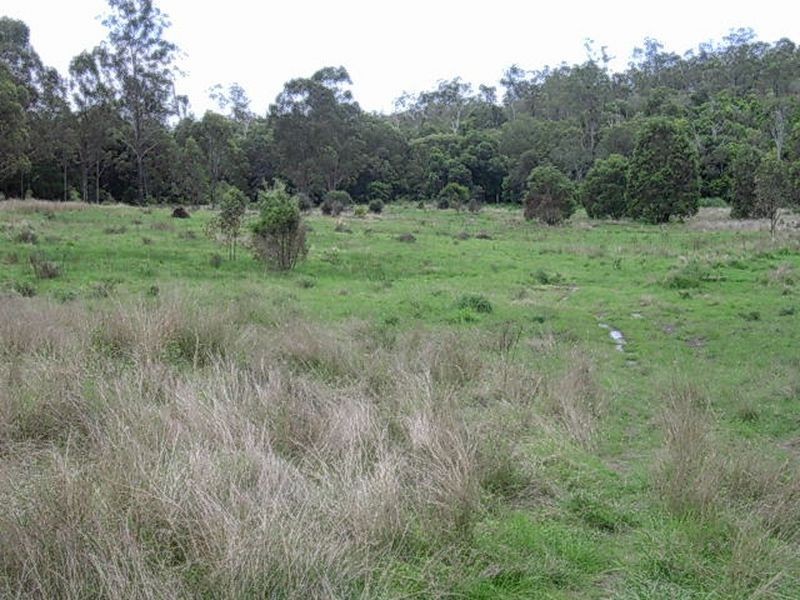 Dempsters Road, Binjour QLD 4625