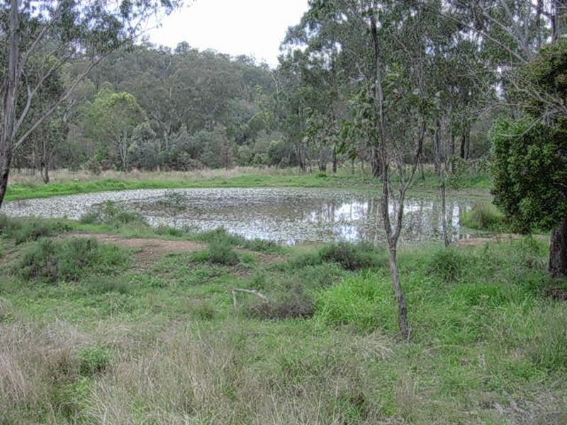 Dempsters Road, Binjour QLD 4625