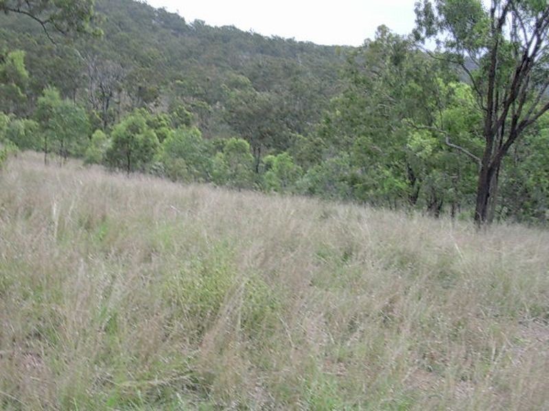 Dempsters Road, Binjour QLD 4625