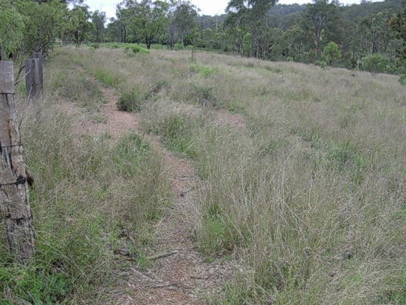 Dempsters Road, Binjour QLD 4625