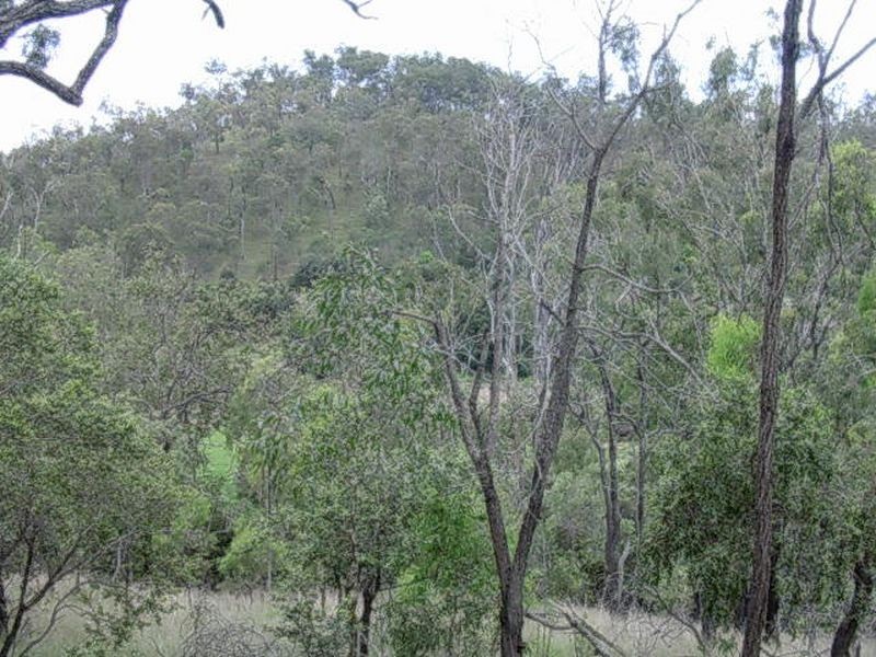 Dempsters Road, Binjour QLD 4625