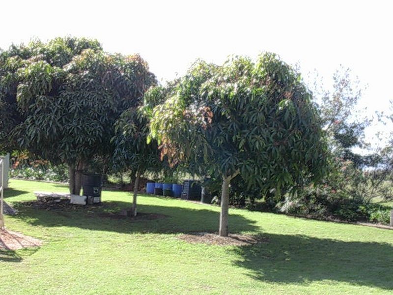 489 Church Road, Gayndah QLD 4625