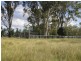 ‘Blue Gums’, Gayndah QLD 4625