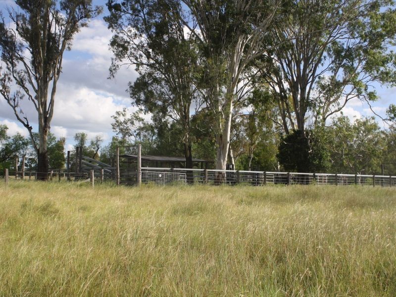 ‘Blue Gums’, Gayndah QLD 4625