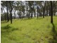 ‘Blue Gums’, Gayndah QLD 4625