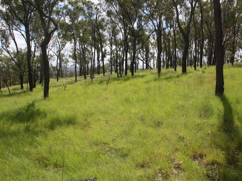 ‘Blue Gums’, Gayndah QLD 4625