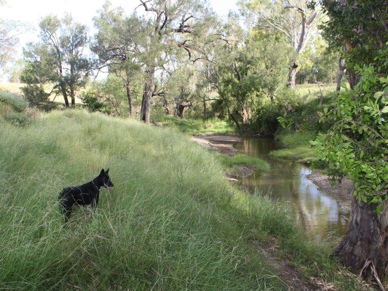 ‘Blue Gums’, Gayndah QLD 4625