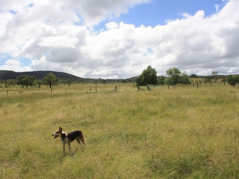 ‘Blue Gums’, Gayndah QLD 4625